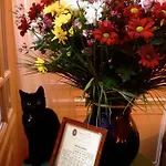 Chopin 2* Parigi
